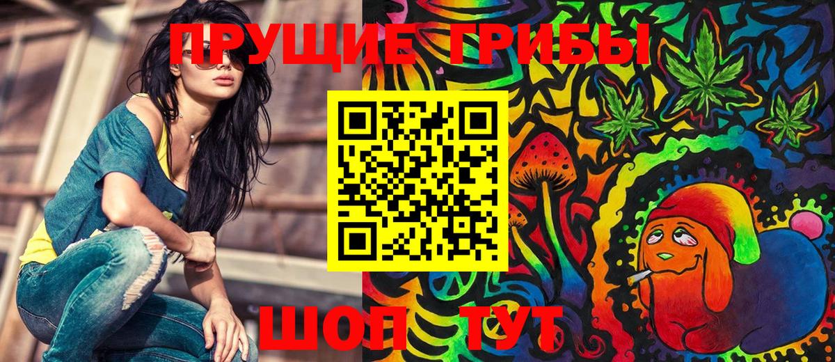 Псилоцибиновые грибы Psilocybe Нурлат