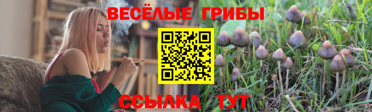 Галлюциногенные грибы Psilocybe  Вход с VPN  Нурлат 
